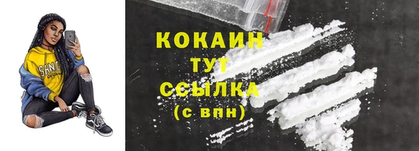 ECSTASY Гусев