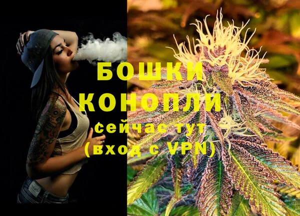 ECSTASY Гусев