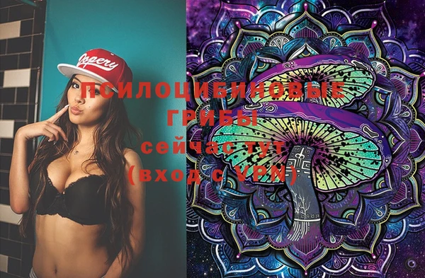 ECSTASY Гусев